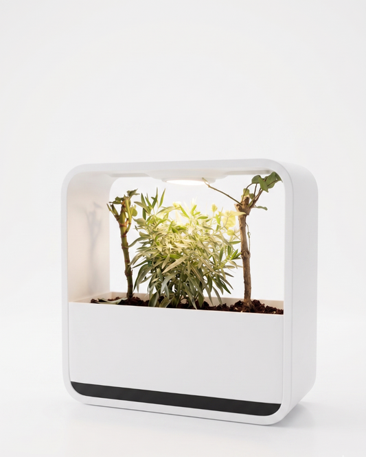 Habitat Mini World Lamp