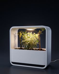 Habitat Mini World Lamp