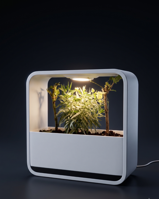 Habitat Mini World Lamp