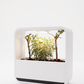 Habitat Mini World Lamp