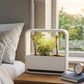 Habitat Mini World Lamp
