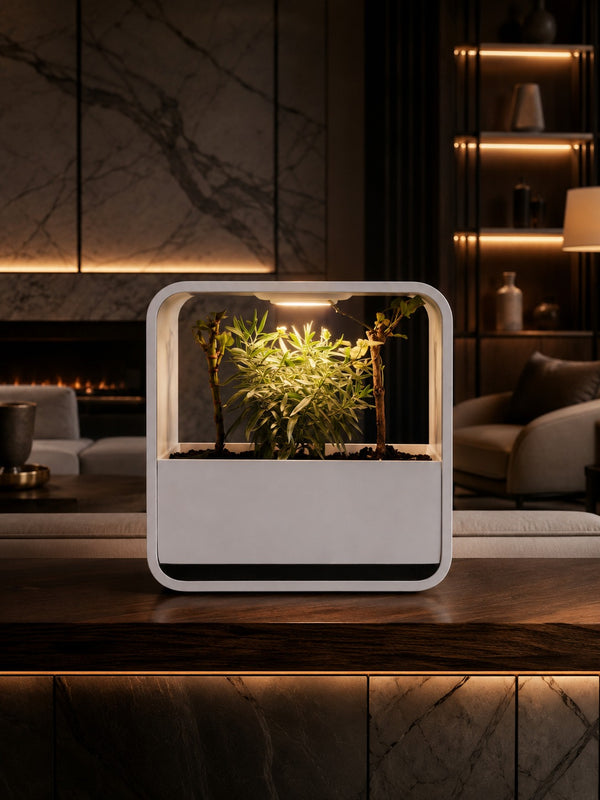 Planter